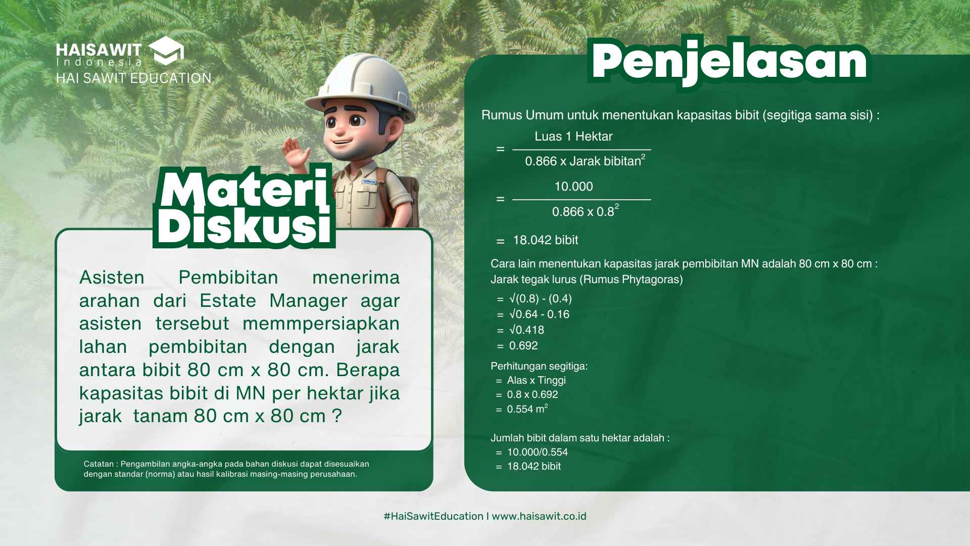 Perhitungan Kapasitas Bibit Sawit Per HA